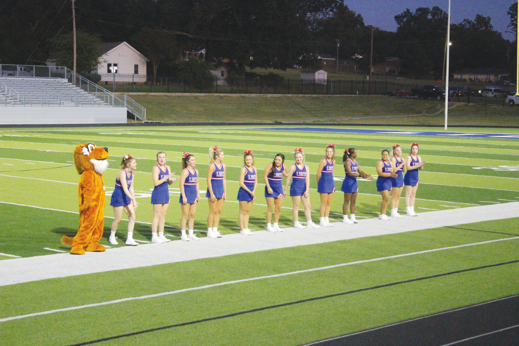 Meet the Lions